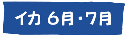 イカ6月・7月