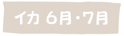イカ6月・7月